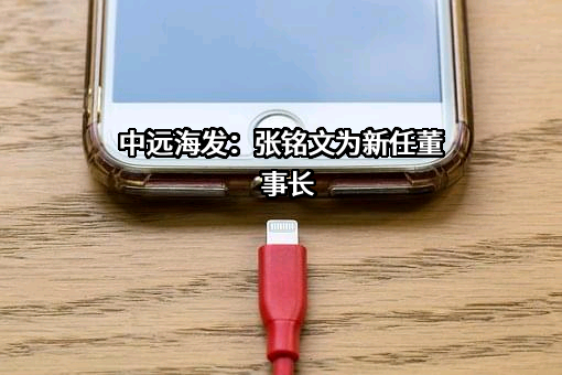中远海运发展股份有限公司