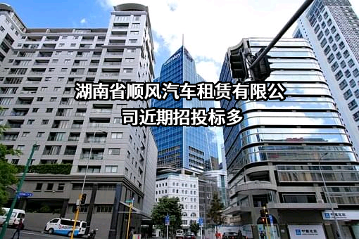 湖南省顺风汽车租赁有限公司