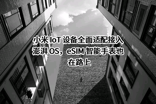 小米科技有限责任公司