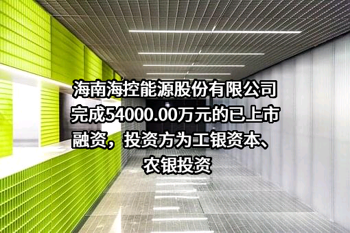 海南海控能源股份有限公司