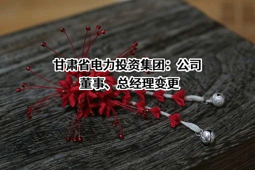 甘肃省电力投资集团有限责任公司