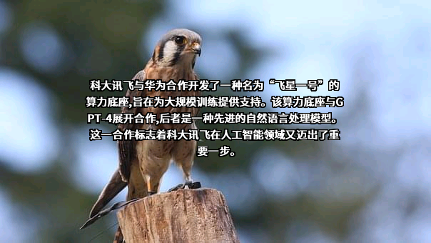 科大讯飞股份有限公司