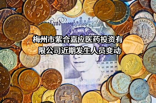 梅州市紫合嘉应医药投资有限公司