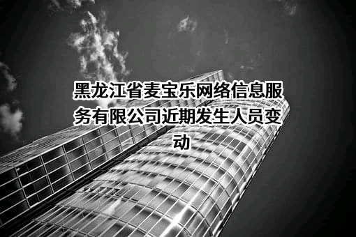 黑龙江省麦宝乐网络信息服务有限公司