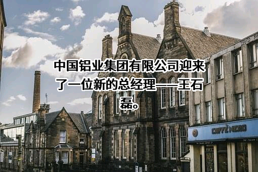 中国铝业集团有限公司