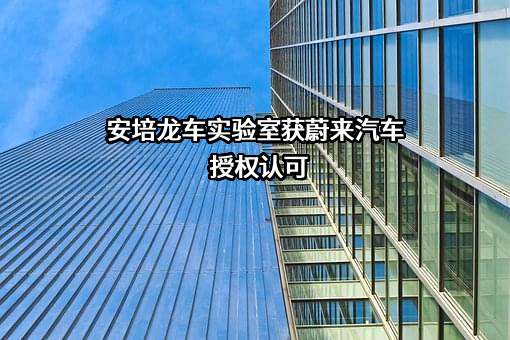 上海蔚来汽车有限公司