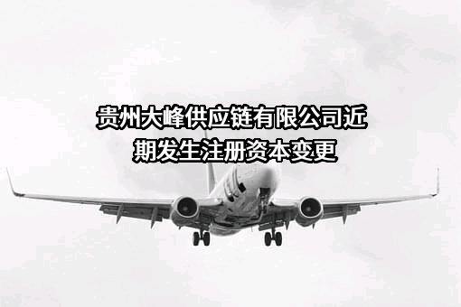 贵州大峰供应链有限公司