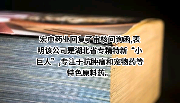湖北宏中药业股份有限公司