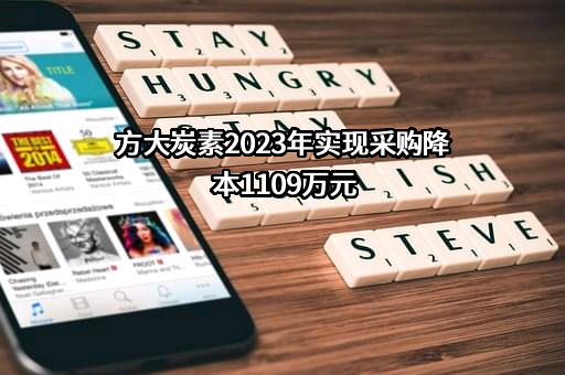 方大炭素新材料科技股份有限公司