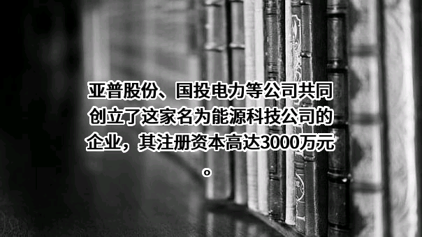 亚普汽车部件股份有限公司