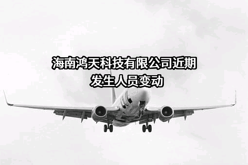 海南鸿天科技有限公司