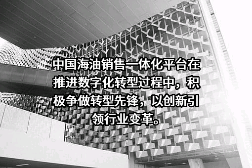 中国海洋石油集团有限公司