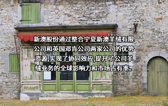 浙江新澳纺织股份有限公司
