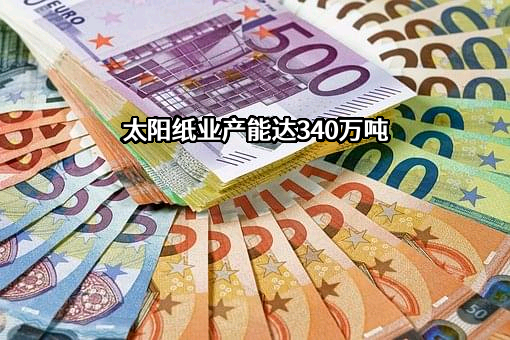山东太阳纸业股份有限公司