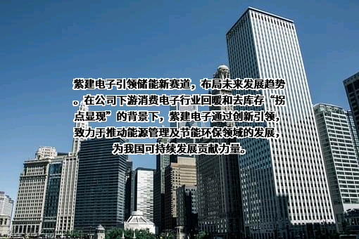 重庆市紫建电子股份有限公司