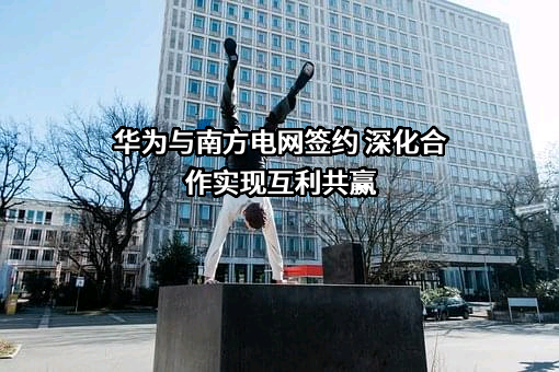 中国南方电网有限责任公司