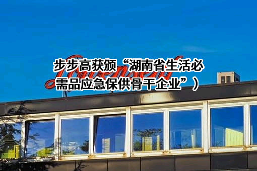步步高商业连锁股份有限公司