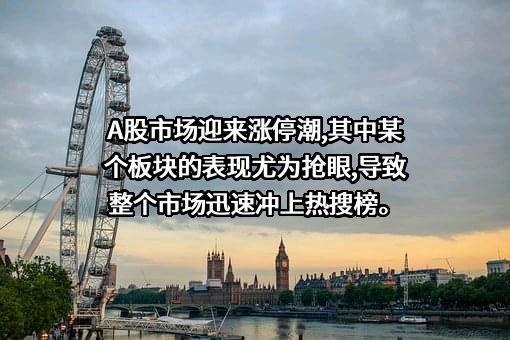 华为技术有限公司