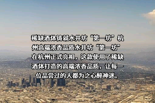 四川水井坊股份有限公司