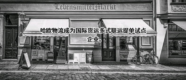 哈欧国际物流股份有限公司