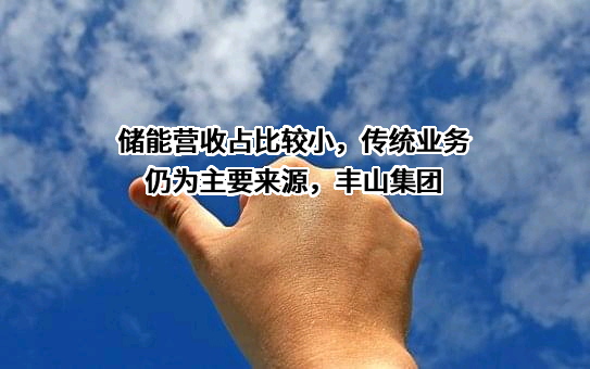 江苏丰山集团股份有限公司
