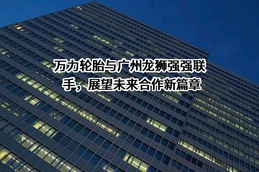 广州市龙狮房地产开发有限公司