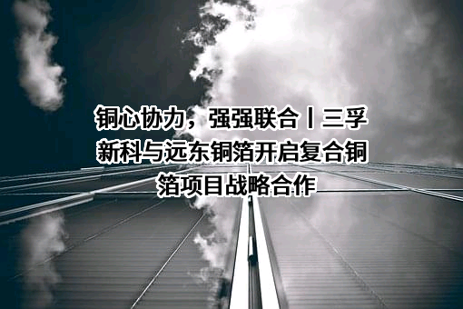 广州三孚新材料科技股份有限公司