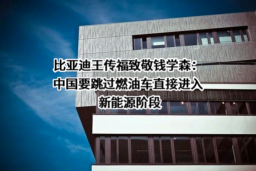 比亚迪股份有限公司