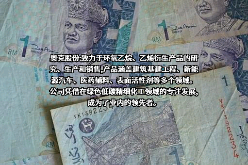 辽宁奥克化学股份有限公司