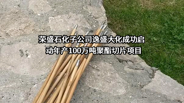 荣盛石化股份有限公司