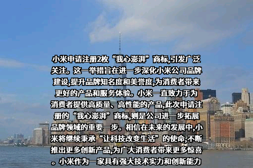 小米科技有限责任公司