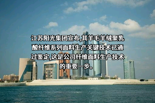 江苏阳光股份有限公司