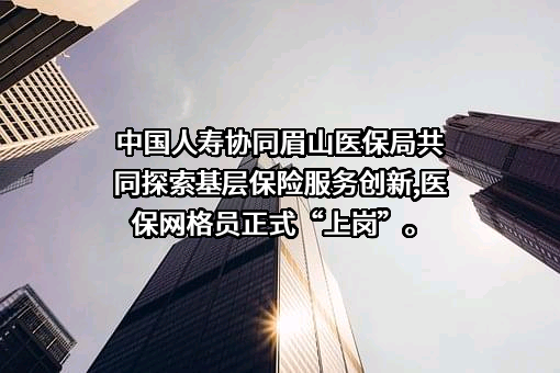 中国人寿保险（集团）公司