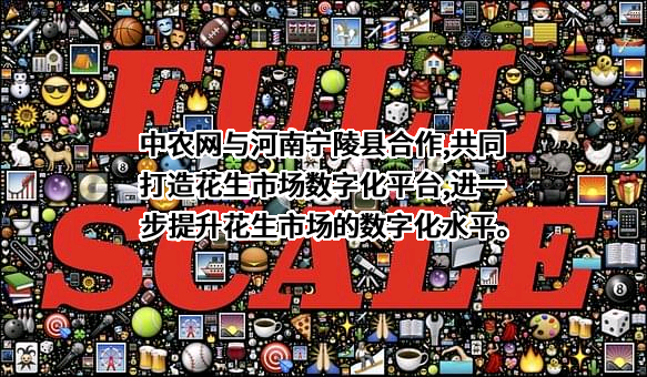 深圳市中农网有限公司