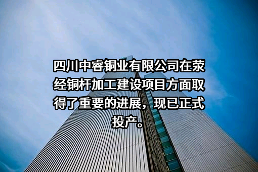 四川中睿铜业有限公司