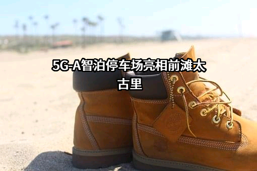 华为技术有限公司