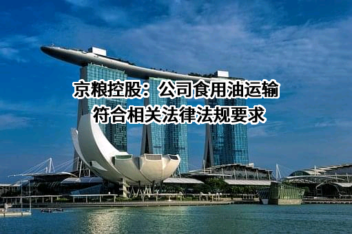 海南京粮控股股份有限公司