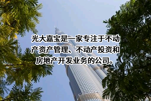 光大嘉宝股份有限公司