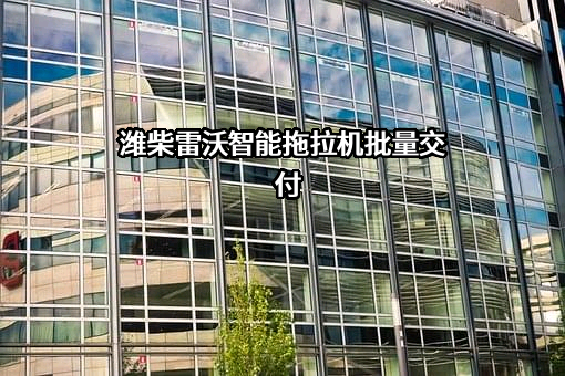 山东潍柴雷沃传动有限公司