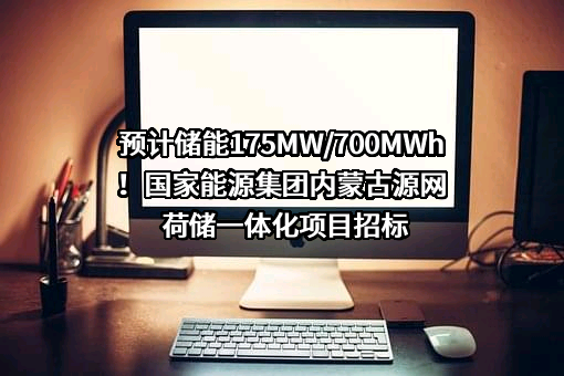 国家能源投资集团有限责任公司