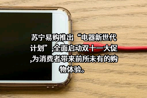 苏宁易购集团股份有限公司