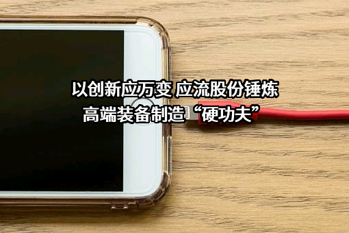 安徽应流机电股份有限公司