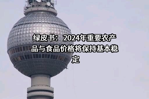中国社会科学院农村发展研究所