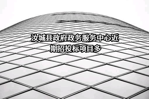 汝城县政府政务服务中心近期招投标项目多