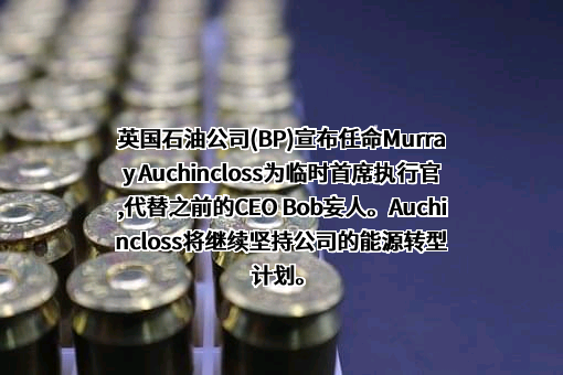 碧辟（中国）投资有限公司