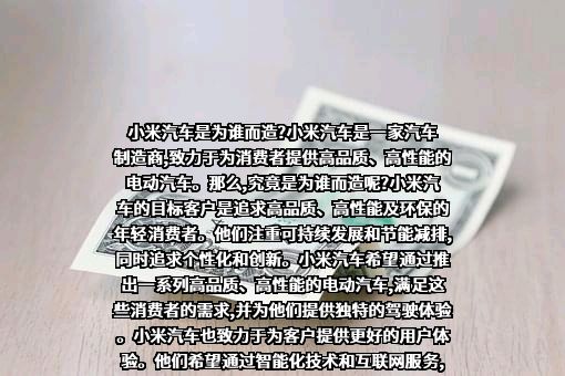 小米汽车有限公司