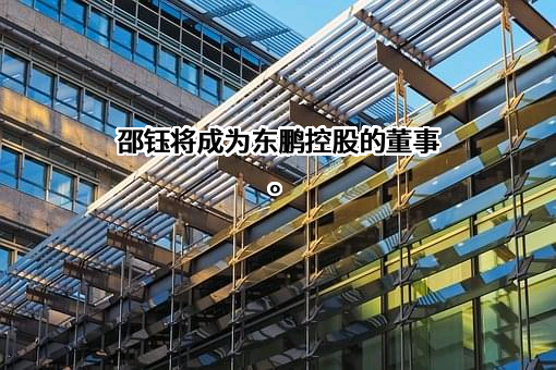 东鹏控股股份有限公司