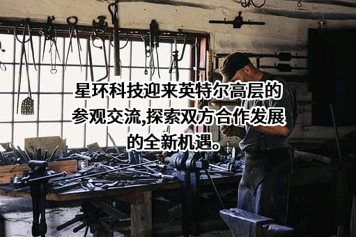 星环信息科技（上海）股份有限公司