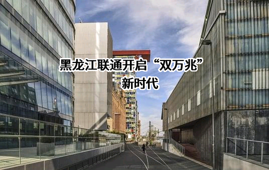 联通（黑龙江）产业互联网有限公司