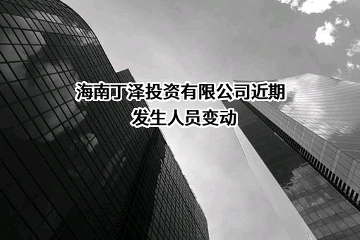 海南丁泽投资有限公司